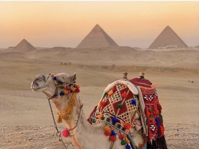 Tagesausflug nach kairo mit kleine Gruppe